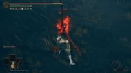 Defeat the invader to proceed (Image via FromSoftware)